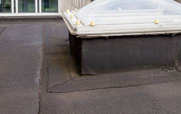 disadvantages of Trefeglwys flat roofs