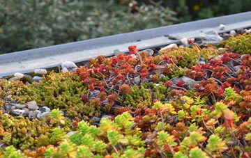 the cost of Trefeglwys green roof installation