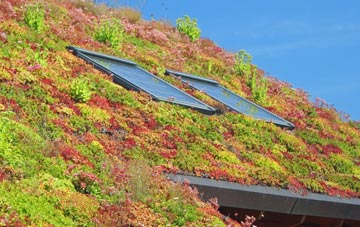 Trefeglwys living roof systems